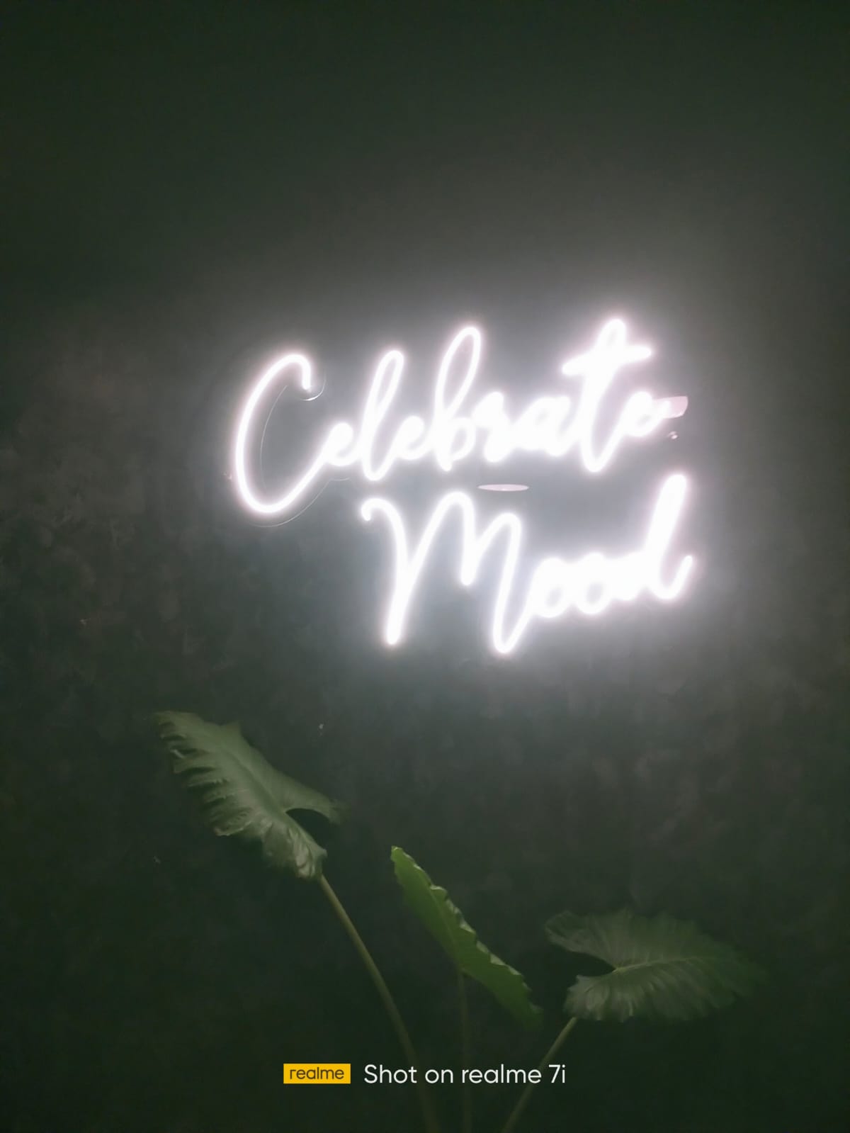 Neon Script Wall Decor